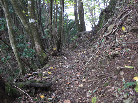 20181009hike (114)